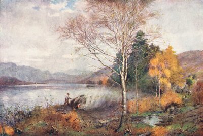  av Alfred Heaton Cooper