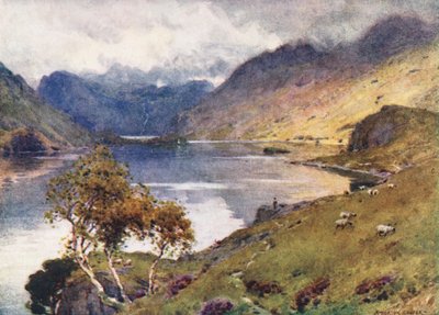  av Alfred Heaton Cooper