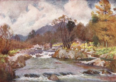  av Alfred Heaton Cooper