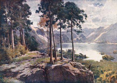  av Alfred Heaton Cooper