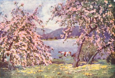  av Alfred Heaton Cooper