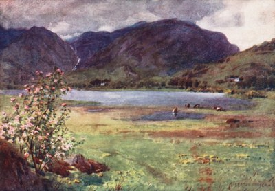  av Alfred Heaton Cooper
