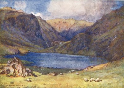  av Alfred Heaton Cooper