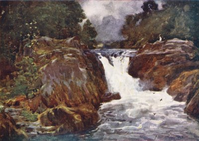  av Alfred Heaton Cooper