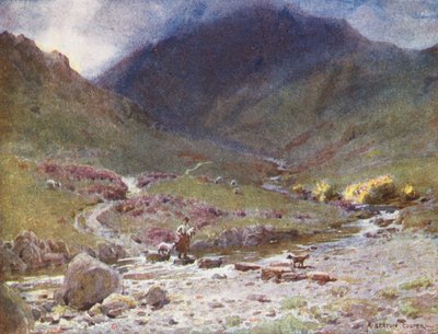  av Alfred Heaton Cooper