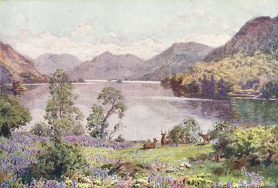  av Alfred Heaton Cooper