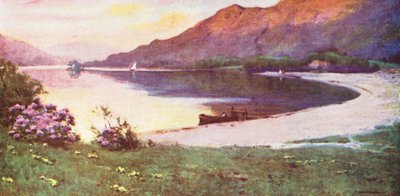  av Alfred Heaton Cooper