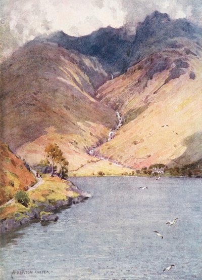  av Alfred Heaton Cooper