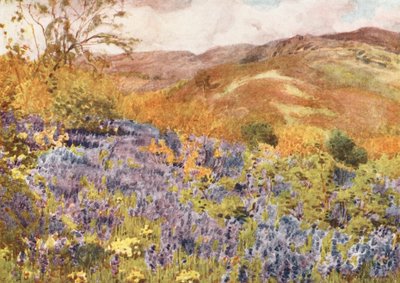  av Alfred Heaton Cooper