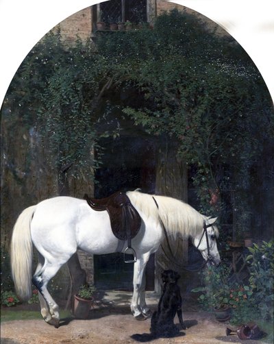 Hvit hest og retriever av Alfred Hichens Corbould