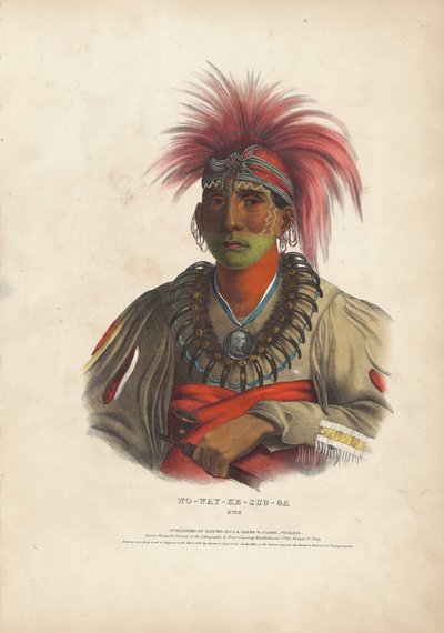Ingen sum y - tilfelle g - er Otoe av Alfred Hoffy, after Charles Bird King