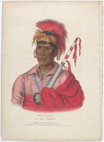 Tah-Ro-Hon, en Ioway-kriger av Alfred Hoffy, after Charles Bird King
