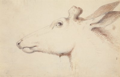 Elg. ca. 1837 (tegning) av Alfred Jacob Miller
