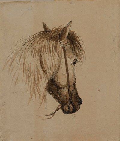 Hestehode av Alfred Jacob Miller