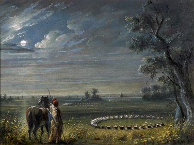 Medisinsirkler av Alfred Jacob Miller