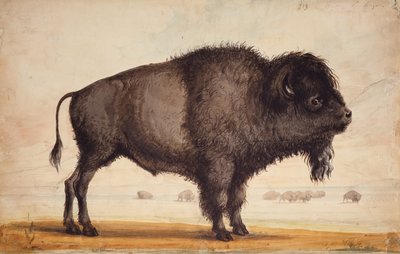 Scenting the Breeze, ca. 1837 (akvarell på papir) av Alfred Jacob Miller
