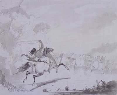 Kaster lasso, ca. 1837 (penn og blekk med grå vask på grått kort) av Alfred Jacob Miller
