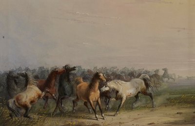 av Alfred Jacob Miller