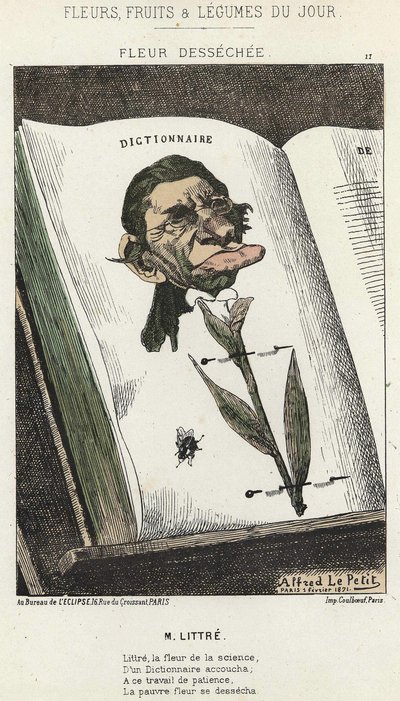 Déséchée flower: tegneserie på Littré - ill. fra 01/02/1871 i "Dagens blomster, frukt og grønnsaker" av Alfred Le Petit