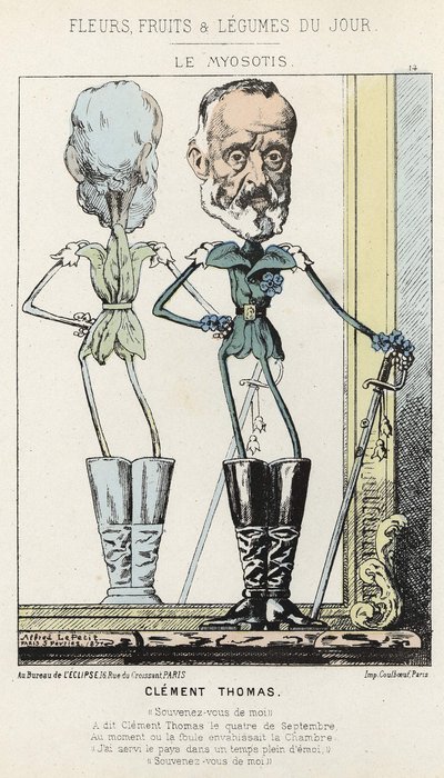 Le Myosotis: karikatur om Clément Thomas - ill. fra 03/02/1871 i "Dagens blomster, frukt og grønnsaker" av Alfred Le Petit
