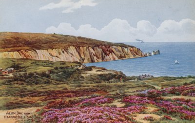 Alum Bay, fra Headon Hill, IOW av Alfred Robert Quinton