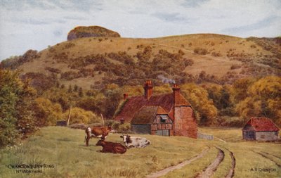 Chanctonbury Ring, Worthing av Alfred Robert Quinton