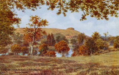 Chanctonbury Ring, fra Wiston Pond, South Downs av Alfred Robert Quinton
