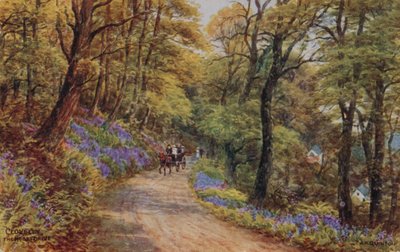 Hobby Drive, Clovelly (farge litho) av Alfred Robert Quinton