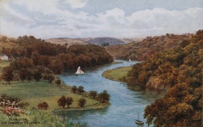 Plymouth, Tamaren i Calstock av Alfred Robert Quinton