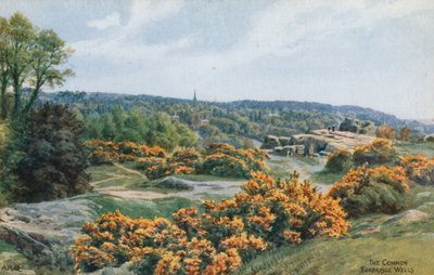 The Common, Tunbridge Wells av Alfred Robert Quinton