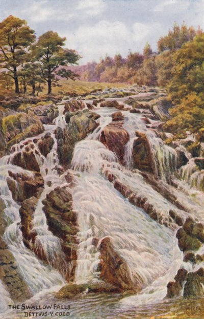 The Swallow Falls, Bettws-Y-Coed (farge litho) av Alfred Robert Quinton