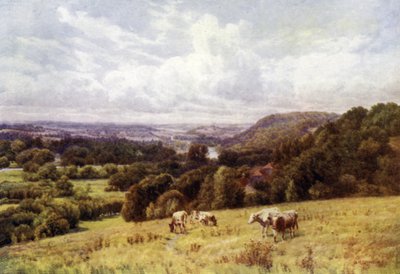 Themsen Valley fra Hennerton, Henley av Alfred Robert Quinton