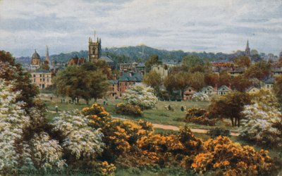 Tunbridge Wells fra The Common av Alfred Robert Quinton