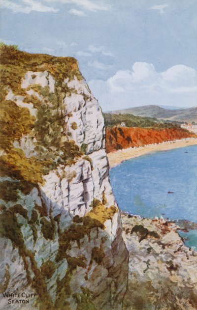 White Cliff, Seaton av Alfred Robert Quinton