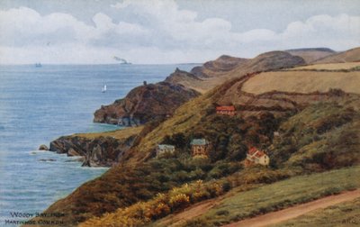 Woody Bay, fra Martinhoe Common av Alfred Robert Quinton