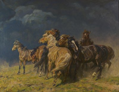  av Alfred Roloff