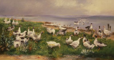 Gjess av Alfred Schonian