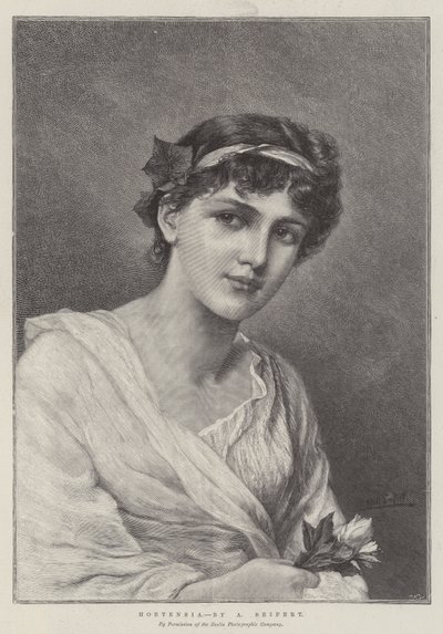 Hortensia av Alfred Seifert