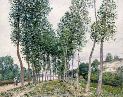 Alley of Poplars langs Loing, 1892 av Alfred Sisley