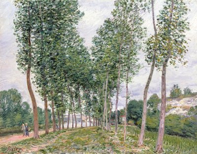 Avenue of Poplars langs bredden av Loing av Alfred Sisley