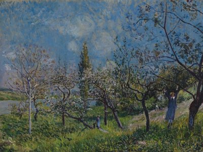Frukthage om våren av Alfred Sisley