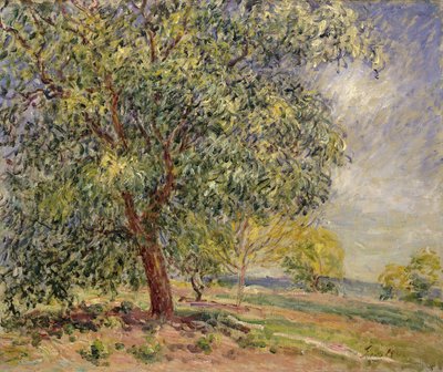 Valnøtttre ved Sablons om våren; Valnøtttrær ved Sablons, våren, 1885 av Alfred Sisley