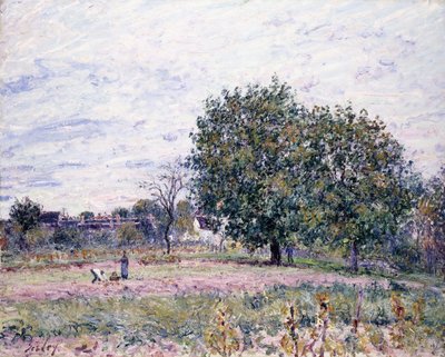 Valnøtttrær, effekten av solnedgangen - første dag i oktober, 1882 av Alfred Sisley