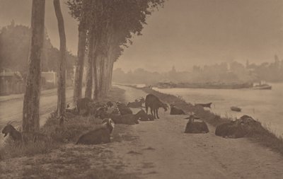  av Alfred Stieglitz