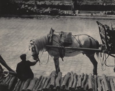  av Alfred Stieglitz