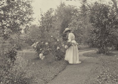  av Alfred Stieglitz