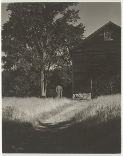  av Alfred Stieglitz