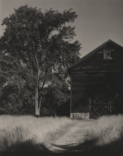  av Alfred Stieglitz