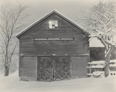 av Alfred Stieglitz