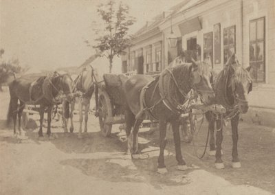  av Alfred Stieglitz